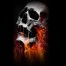 Flaming Skulls - Gun Safe Decal